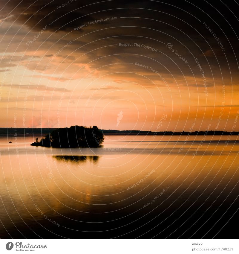 In der Strömung Umwelt Natur Landschaft Urelemente Luft Wasser Himmel Wolken Horizont Klima Schönes Wetter Baum Insel See leuchten glänzend Stimmung ruhig