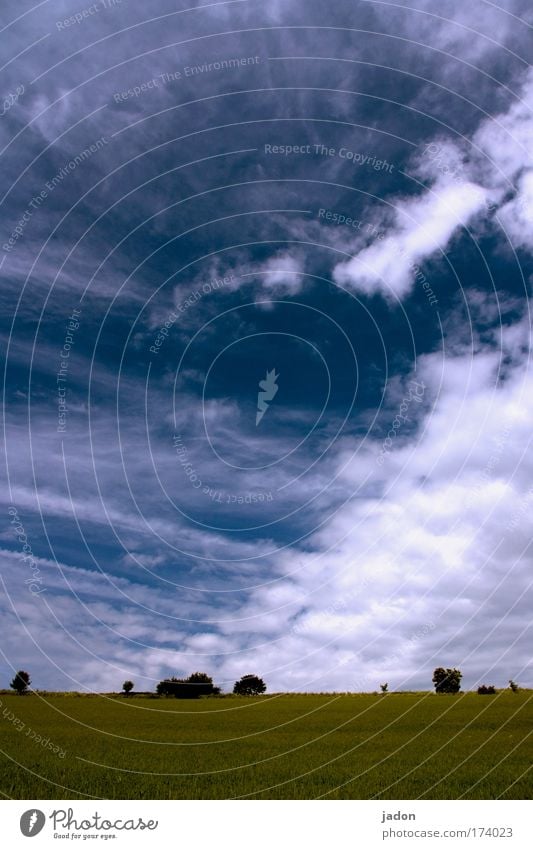 leicht bewölkt Farbfoto Außenaufnahme Menschenleer Tag Natur Landschaft Pflanze Erde Himmel Wolken Sommer Baum Feld Erholung Blick Unendlichkeit blau geduldig