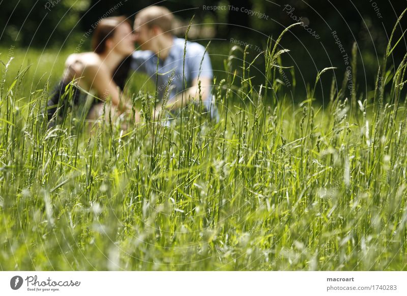 Pärchen Paar paarweise Liebe Verliebtheit Mann Frau Junge Mädchen feminin Wiese Sommer Frühling Umarmen Jugendliche Junge Frau Junger Mann