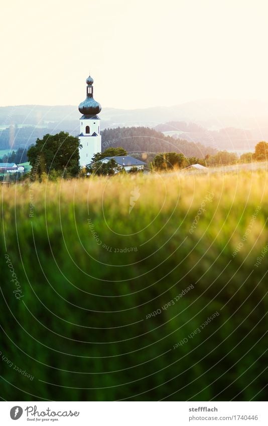 Bayerischer Wald Zwiebelturm Landschaft Wolkenloser Himmel Sommer Schönes Wetter Gras Feld Hügel Bayern Dorf Menschenleer Kirche Turm Kirchturm Erholung