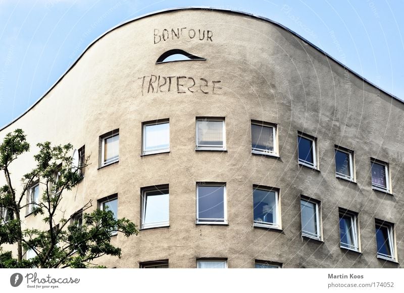 bonjour tristesse Städtereise Häusliches Leben Wohnung Umzug (Wohnungswechsel) Arbeitslosigkeit Baum Menschenleer Haus Gebäude Architektur Mauer Wand Fassade