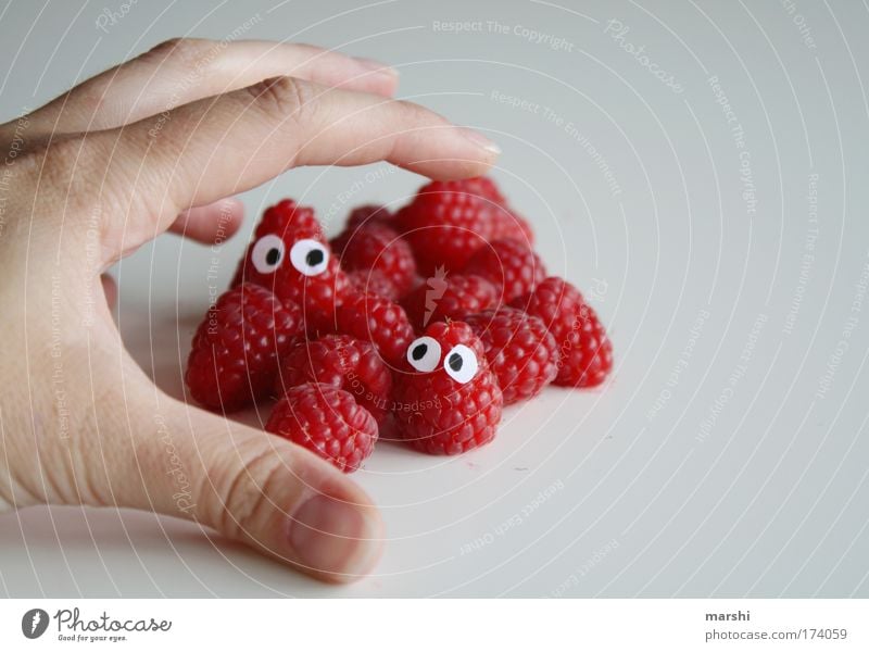 Jetzt gibts Himbeerkuchen! Farbfoto Lebensmittel Frucht Dessert Süßwaren Marmelade Ernährung Essen Bioprodukte Vegetarische Ernährung Diät Hand Finger genießen