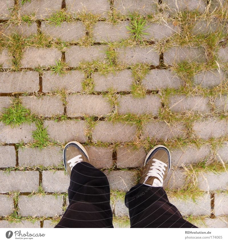 Stehenbleiben. Umdrehen. Erklären. Farbfoto Außenaufnahme Textfreiraum oben Beine Fuß 1 Mensch Umwelt Pflanze Gras Wege & Pfade Hose Turnschuh stehen warten