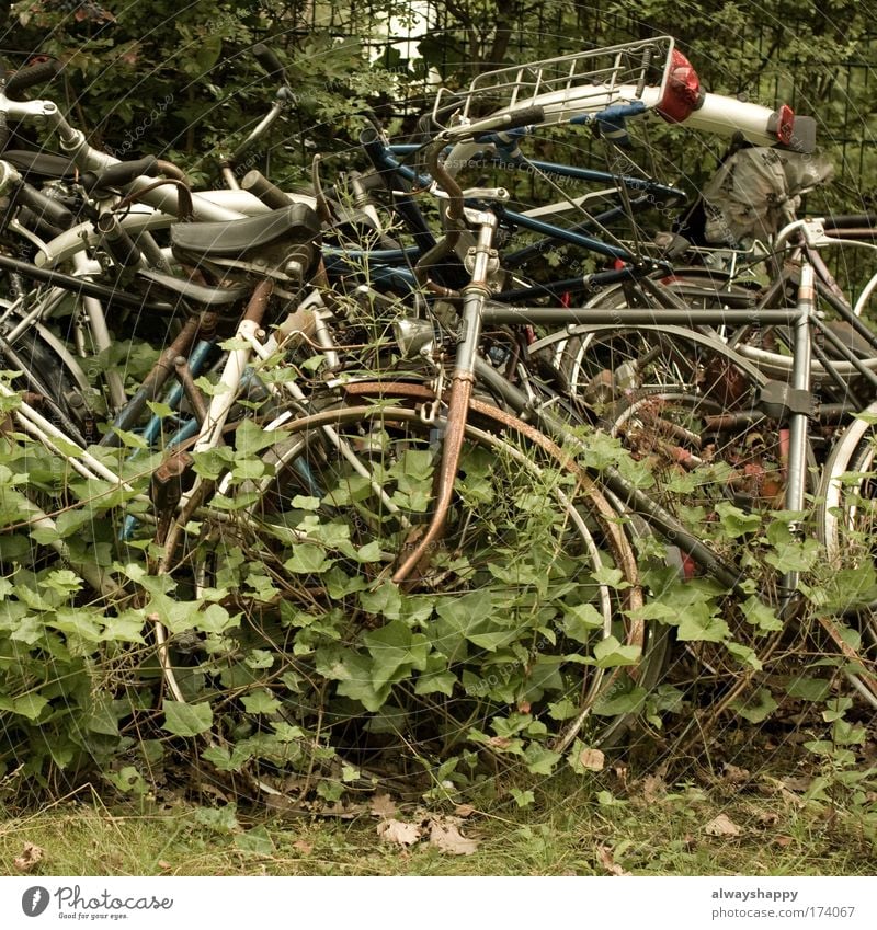 quasi Gold Farbfoto Außenaufnahme Menschenleer Tag Umwelt Gras Efeu Verkehrsmittel Fahrrad Metall skurril Güterverkehr & Logistik Traurigkeit