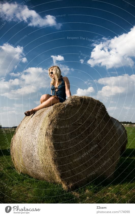 lena in heaven Farbfoto Außenaufnahme Mensch feminin Junge Frau Jugendliche 18-30 Jahre Erwachsene Umwelt Natur Landschaft Gras Feld Kleid Sonnenbrille blond