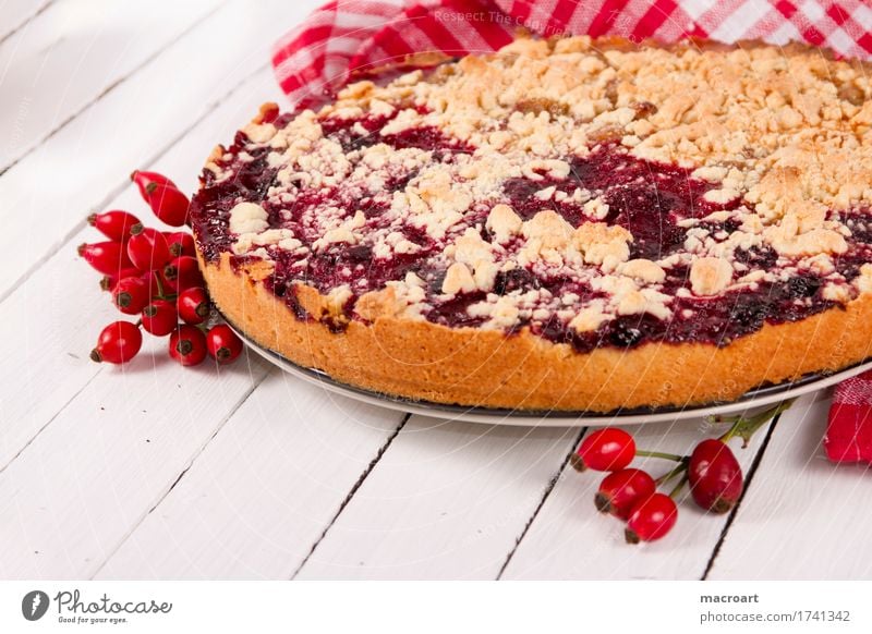 Obstkuchen Hagebutten Hundsrose streusselkuchen backen Dessert Kaffee Pflaume Frucht Holztisch Gesunde Ernährung Speise Essen Foodfotografie Lebensmittel