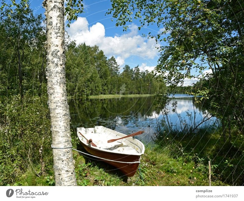 Plötzlich am See Wellness Freizeit & Hobby Angeln Ferien & Urlaub & Reisen Freiheit Sommer Sommerurlaub Sonne Umwelt Natur Landschaft Himmel Wolken Pflanze Baum