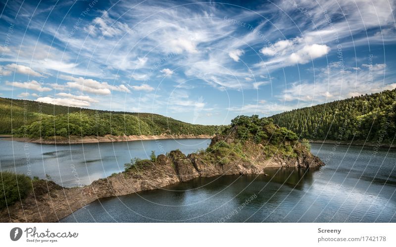 Fast wie ein Fjo&#803;rd Natur Landschaft Pflanze Urelemente Wasser Himmel Wolken Sommer Schönes Wetter Baum Sträucher Hügel Felsen Seeufer Eifel Talsperre blau