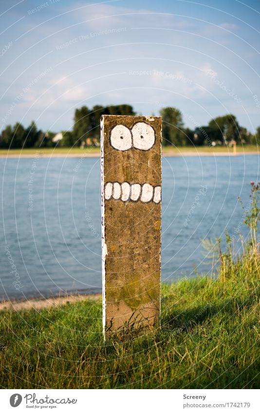 Rheinbeisser Landschaft Gras Flussufer Beton Graffiti frech lustig Schilder & Markierungen Straßenkunst Auge Zähne Comic Farbfoto Außenaufnahme Menschenleer Tag