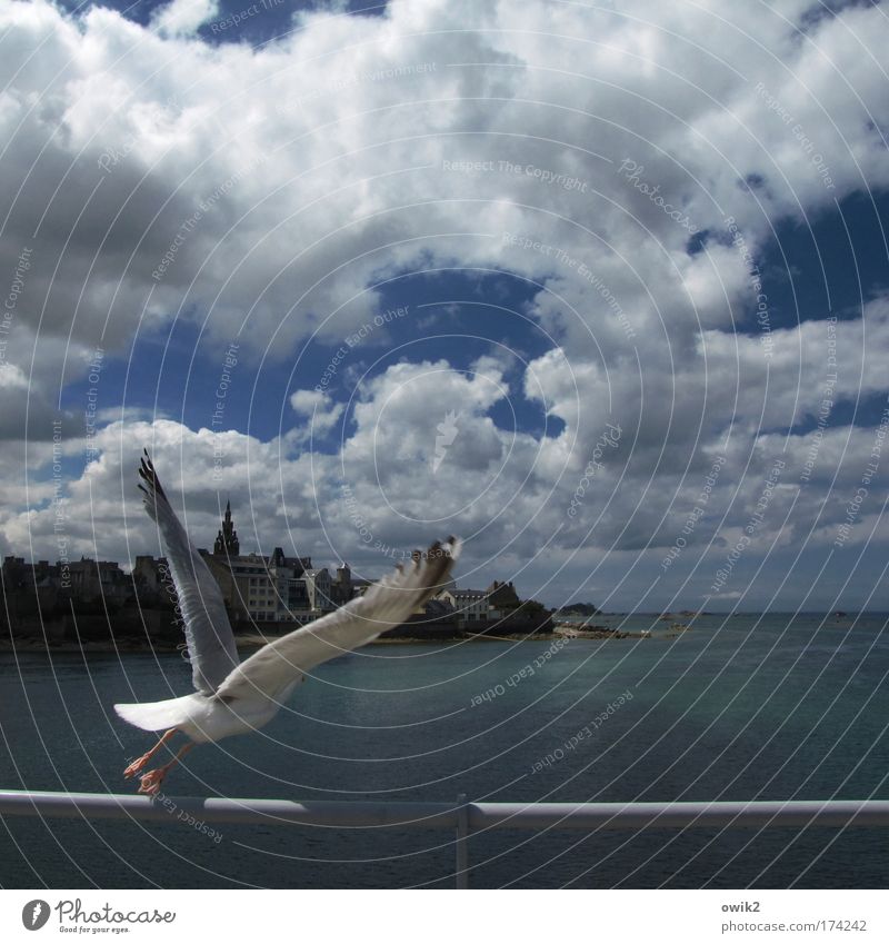 3 - 2 - 1 - Liftoff Urelemente Wasser Himmel Wolken Klima Schönes Wetter Wind Küste Meer Roscoff Finistere Bretagne Atlantik Frankreich Haus Kirche Gebäude