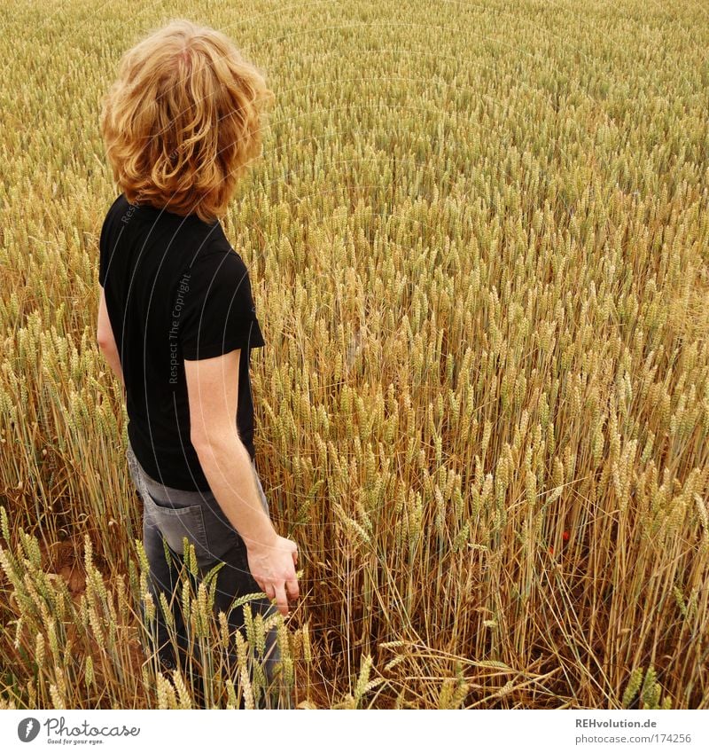 Fühlen Sie das Feld ? Farbfoto Außenaufnahme Ganzkörperaufnahme Mensch maskulin Junger Mann Jugendliche 1 18-30 Jahre Erwachsene Natur Landschaft blond stehen