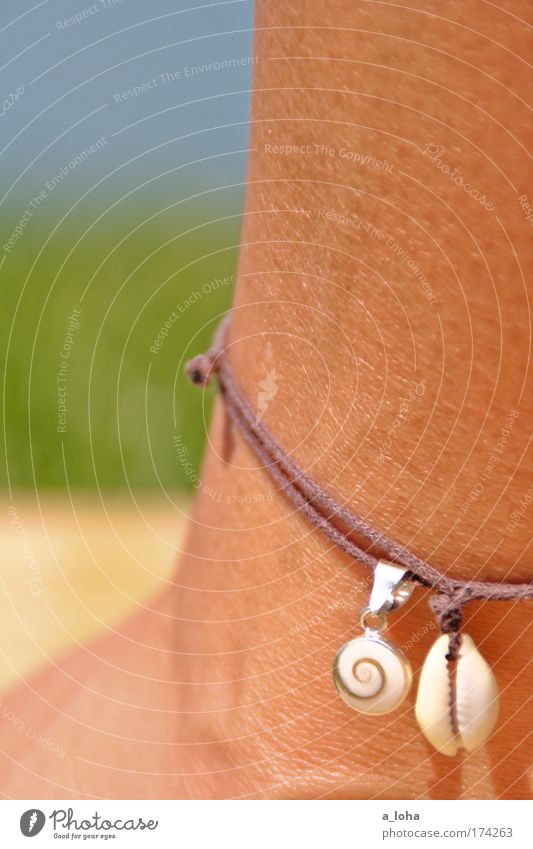 es war einmal im sommer... Haut ruhig Sommer Sonnenbad feminin Fuß Accessoire heiß natürlich rund dünn schön blau grün Warmherzigkeit ästhetisch Zufriedenheit