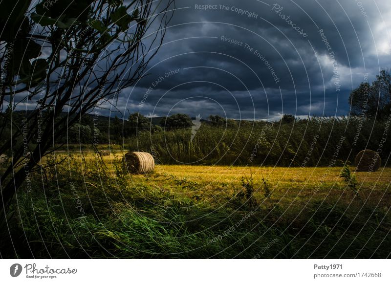 Vor dem Sturm Landschaft Gewitterwolken Sommer Heurolle Heuballen Wiese Feld bedrohlich dunkel blau gelb Umwelt Farbfoto Außenaufnahme Menschenleer Tag Kontrast