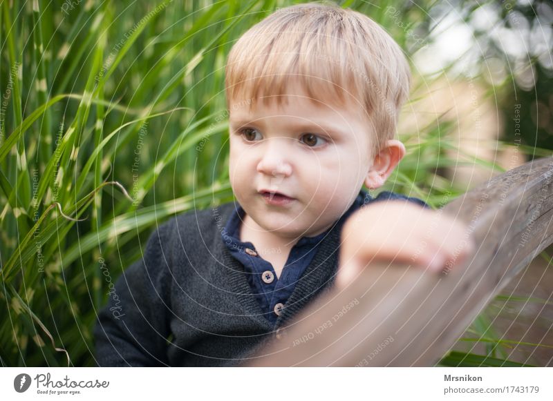 Entdecker Kind Kleinkind Junge Kindheit 1-3 Jahre beobachten entdecken träumen Brückengeländer Geländer Garten Sohn blond Blick laufen stehen Pampasgras