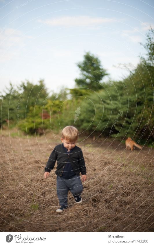 Zusammen ist man weniger allein Mensch Kind Kleinkind Junge Kindheit Leben 1 1-3 Jahre Natur Sommer Schönes Wetter Katze Tier laufen Blick Feld Feldrand