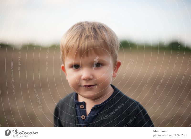 Hey Mensch Kind Kleinkind Junge Kindheit Leben Kopf 1 1-3 Jahre beobachten Sohn blond Fröhlichkeit Feld Feldrand Blick Lächeln kindlich Farbfoto Gedeckte Farben