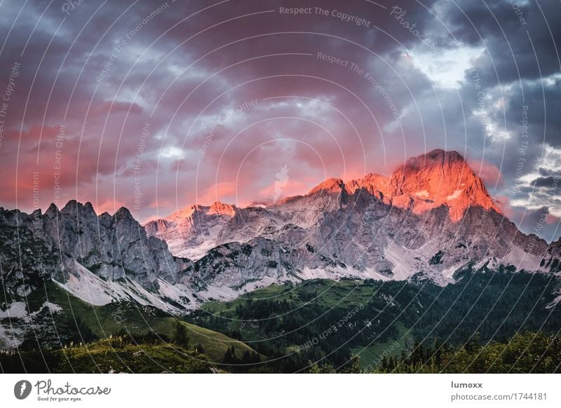 alpenglühen Landschaft Urelemente Wolken Sonnenaufgang Sonnenuntergang Felsen Alpen Berge u. Gebirge Gipfel grau grün rot Außenaufnahme entdecken wandern