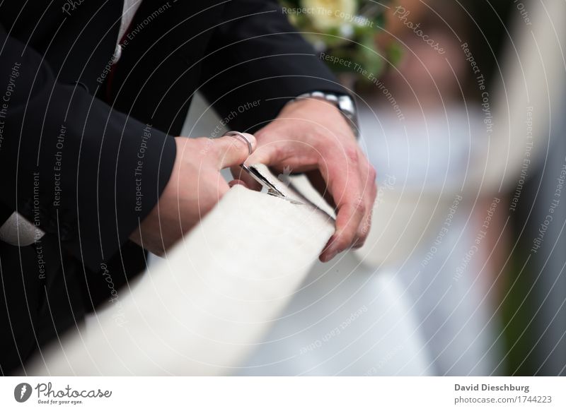 Schnittmenge Hochzeit Paar Partner Leben Hand Anzug Freude Glück Fröhlichkeit Zufriedenheit Zusammensein Liebe Treue Romantik Hoffnung Schere Bräutigam Aufgabe