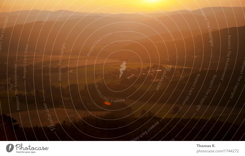 Früh morgens Natur Landschaft Horizont Sonne Herbst Schönes Wetter Wiese Feld Hügel weich orange Stimmung Warmherzigkeit ruhig Morgen Sonnenaufgang Gegenlicht