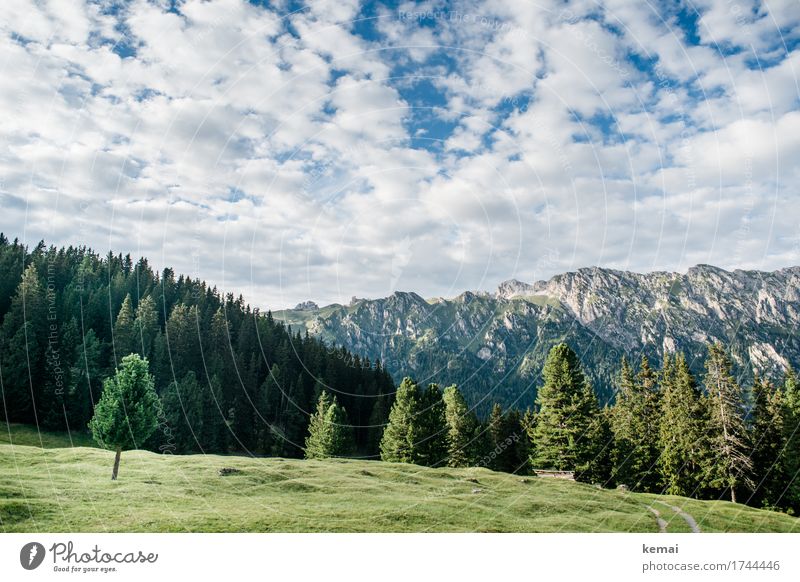 Berge und Wald Lifestyle Leben harmonisch Wohlgefühl Erholung ruhig Freizeit & Hobby Ferien & Urlaub & Reisen Abenteuer Ferne Freiheit Sommerurlaub