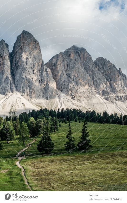 Gipfelzipfel harmonisch Sinnesorgane Erholung ruhig Ferien & Urlaub & Reisen Ausflug Abenteuer Ferne Freiheit Sommerurlaub Berge u. Gebirge wandern Umwelt Natur