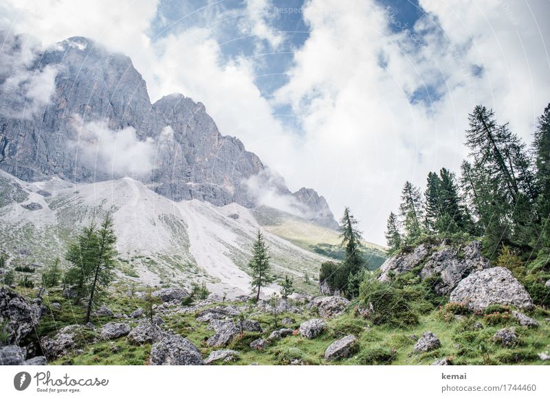 Wunderbare Bergwelt Leben harmonisch Sinnesorgane Erholung ruhig Ferien & Urlaub & Reisen Ausflug Abenteuer Ferne Freiheit Sommerurlaub Berge u. Gebirge wandern