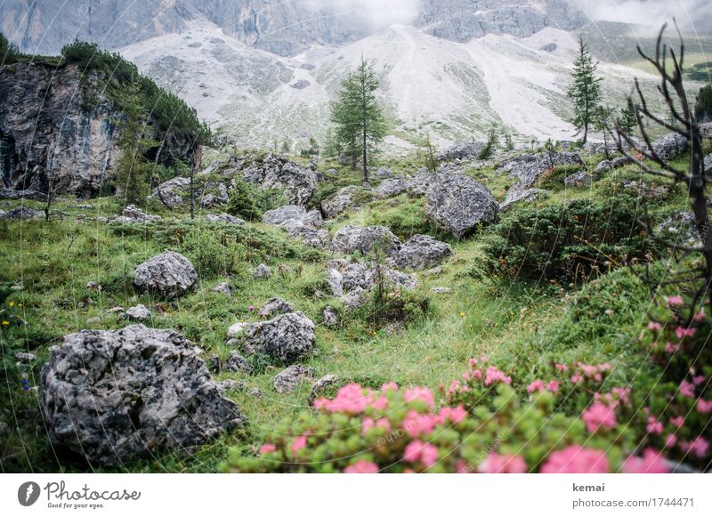 Grünes Tal Leben harmonisch Wohlgefühl Sinnesorgane Freizeit & Hobby Ferien & Urlaub & Reisen Tourismus Ausflug Abenteuer Freiheit Berge u. Gebirge wandern