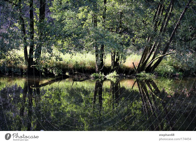 pfreimd Farbfoto Außenaufnahme Menschenleer Tag Schatten Kontrast Reflexion & Spiegelung Zentralperspektive harmonisch Erholung ruhig Ferien & Urlaub & Reisen