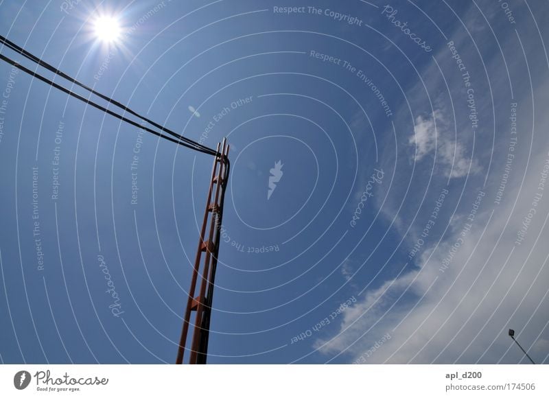 touch the sky Farbfoto Außenaufnahme Tag Licht Umwelt Natur Himmel Wolken Sonne Sonnenlicht Sommer leuchten stehen ästhetisch blau Mut