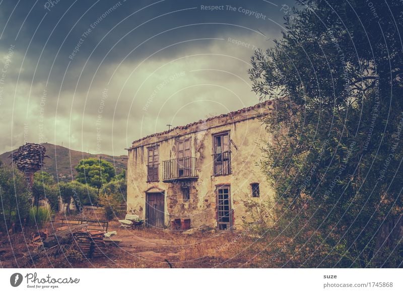 Nachlass Natur Ruine Bauwerk Gebäude Architektur Fassade Balkon Fenster Tür alt authentisch dreckig dunkel historisch kaputt trist trocken braun Einsamkeit