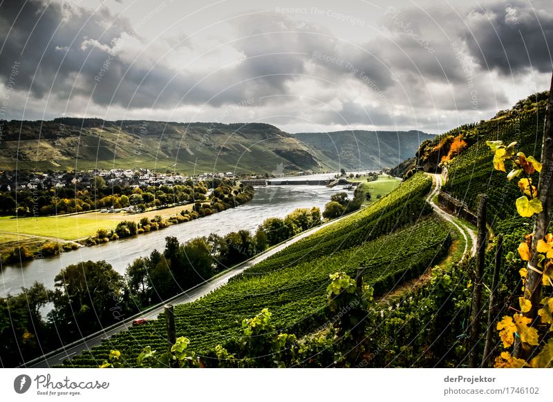 Licht- und Schattenspiele an der Mosel Ferien & Urlaub & Reisen Tourismus Ausflug Ferne Freiheit Sightseeing Berge u. Gebirge wandern Umwelt Natur Landschaft