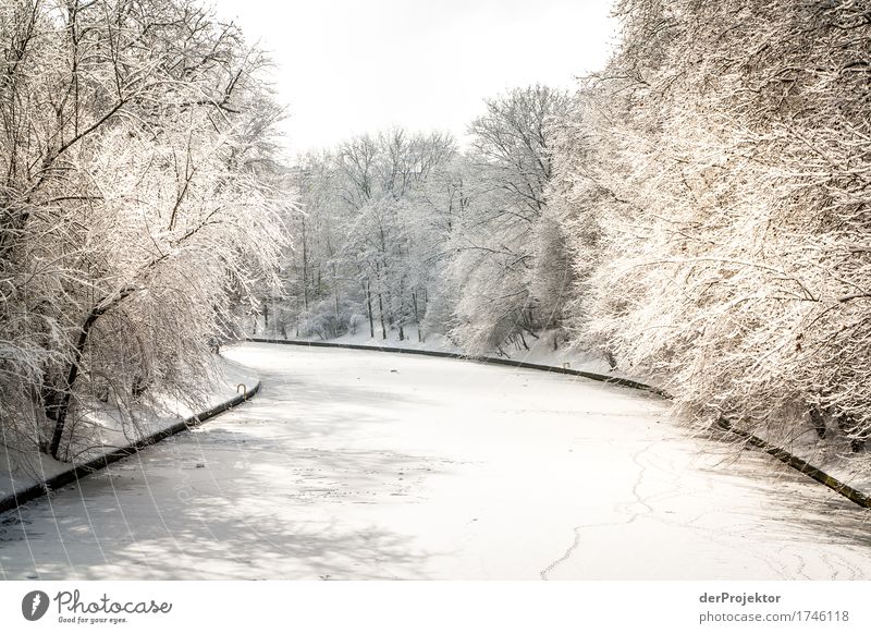 Winterstimmung am Neuköllner Kanal Muster abstrakt Urbanisierung Hauptstadt Textfreiraum rechts Textfreiraum links Coolness Textfreiraum Mitte