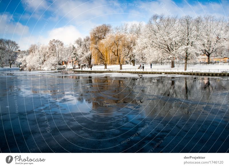 Berliner Winter: Früher Ferien & Urlaub & Reisen Tourismus Ausflug Abenteuer Ferne Freiheit Sightseeing Städtereise Schnee Winterurlaub Umwelt Natur Landschaft