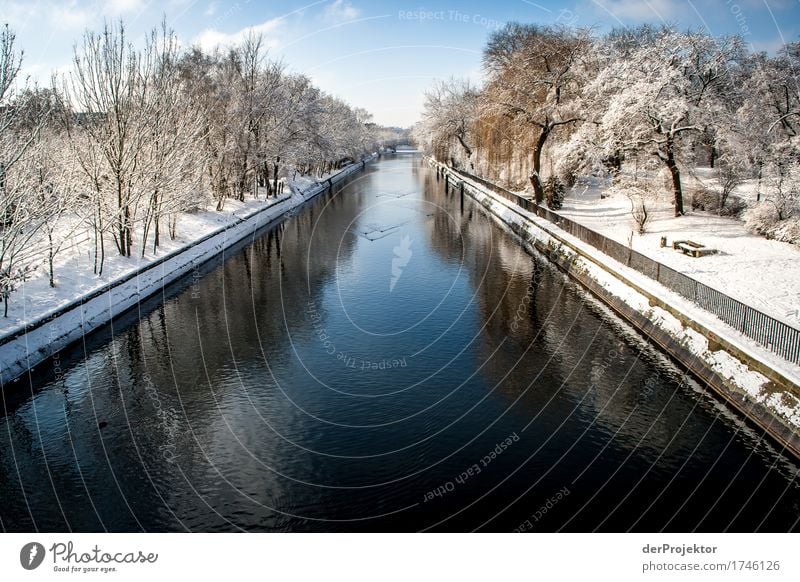 Winter am Landwehrkanal Ferien & Urlaub & Reisen Tourismus Ausflug Abenteuer Ferne Freiheit Sightseeing Städtereise Winterurlaub Umwelt Natur Landschaft Pflanze