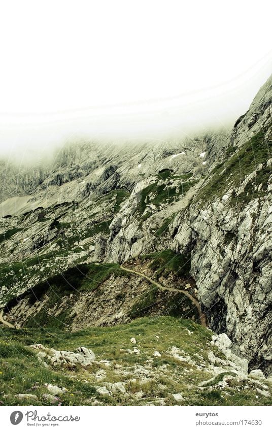 Nebelgrenze Farbfoto Außenaufnahme Textfreiraum oben Tag Kontrast Silhouette Zentralperspektive Weitwinkel Klettern Bergsteigen Umwelt Natur Landschaft Himmel