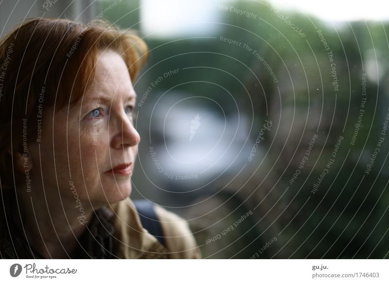 Grün 02 elegant Mensch feminin Frau Erwachsene Weiblicher Senior Kopf Gesicht 1 60 und älter Fenster Haare & Frisuren brünett rothaarig Coolness listig nah