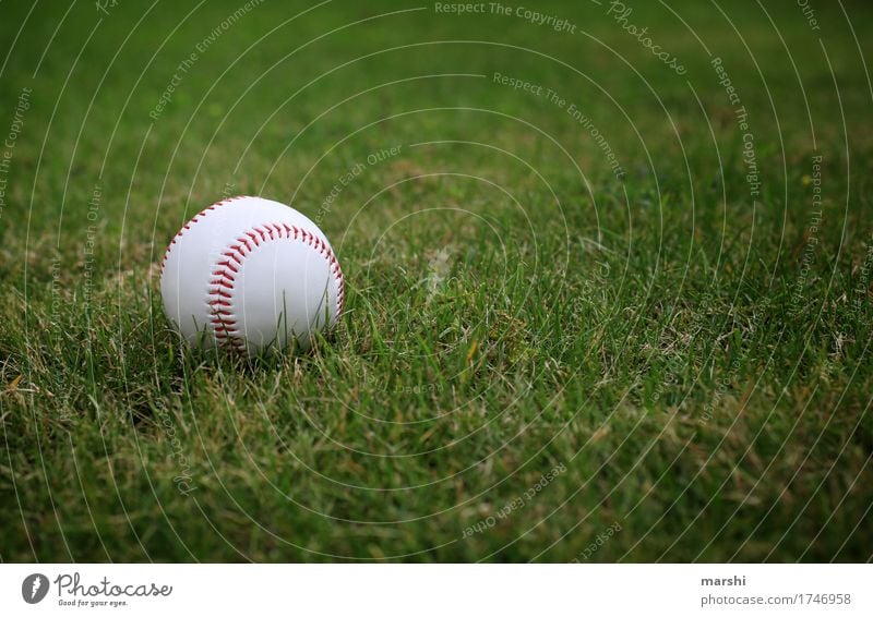 Baseball Sport Fitness Sport-Training Ballsport Sportmannschaft Sportstätten Sportveranstaltung Stimmung Wiese sportlich Amerika Farbfoto Außenaufnahme