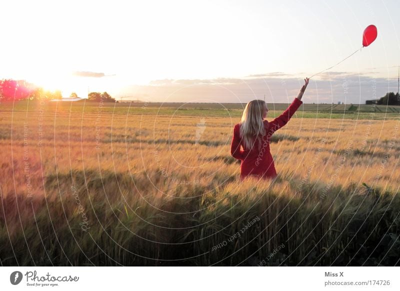 away Junge Frau Jugendliche Erwachsene 1 Mensch 18-30 Jahre Landschaft Schönes Wetter Wind Feld blond Luftballon Herz leuchten Glück rot Gefühle Lebensfreude