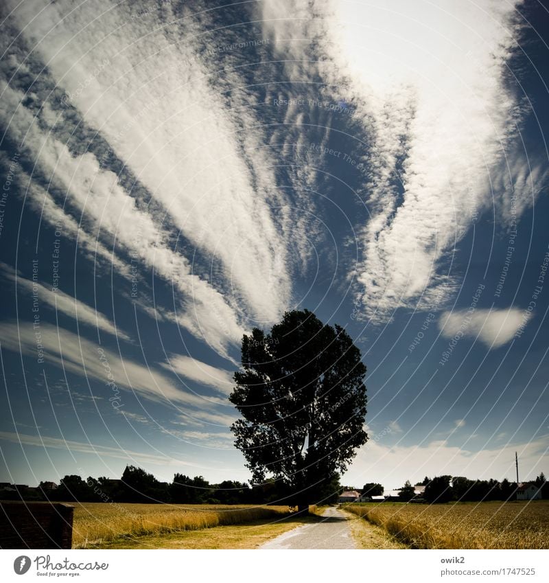 Am Friedhof Umwelt Natur Landschaft Himmel Wolken Horizont Sommer Klima Schönes Wetter Baum Feld Landkreis Teltow-Fläming Deutschland Dorf Haus Wege & Pfade