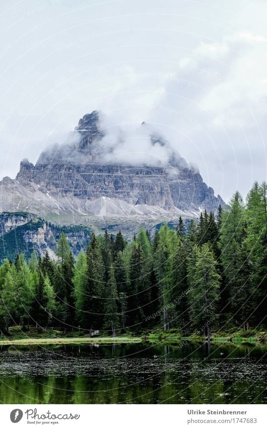 Am Lago d'Antorno Ferien & Urlaub & Reisen Tourismus Ausflug Sommer Sommerurlaub Berge u. Gebirge wandern Natur Landschaft Pflanze Himmel Wolken Wetter Nebel