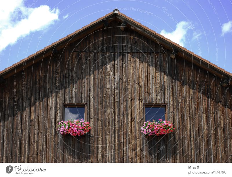 Doppelstadlhälfte Farbfoto mehrfarbig Außenaufnahme Menschenleer Textfreiraum Mitte Tag Haus Dachboden Pflanze Blüte Topfpflanze Dorf Hütte alt Armut