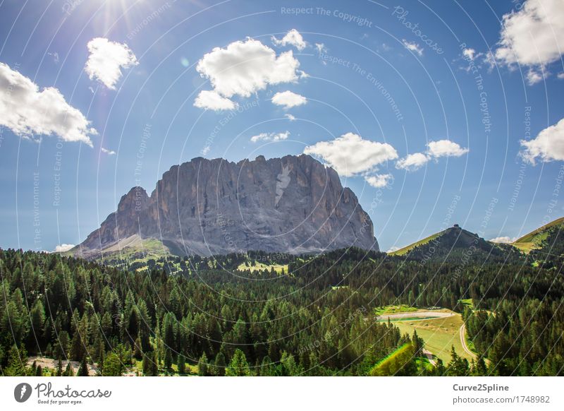 Südtirol Natur Landschaft Urelemente Himmel Wolken Sonne Sommer Schönes Wetter Baum Gras Sträucher Grünpflanze Wiese Feld Wald Hügel Felsen Alpen