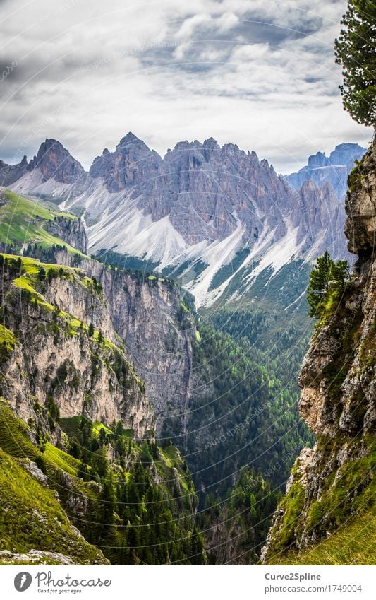 Bergwelten Natur Landschaft Urelemente Himmel Wolken Sommer Baum Feld Wald Hügel Felsen Alpen Berge u. Gebirge Gipfel fest Freiheit grün grau Stein steinig