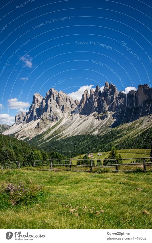 Alpine Welten Natur Landschaft Urelemente Himmel Wolken Sommer Schönes Wetter Wiese Feld Wald Hügel Felsen Alpen Berge u. Gebirge Gipfel wandern massiv steinig