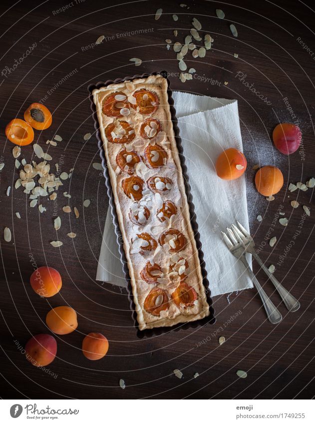 Aprikosentarte mit Mandelcreme Frucht Kuchen Dessert Süßwaren Ernährung Slowfood lecker süß orange Farbfoto Innenaufnahme Menschenleer Hintergrund neutral Tag