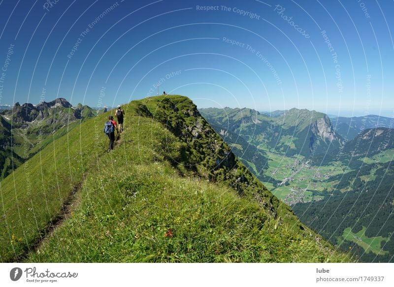 Gratwanderung wandern Umwelt Natur Landschaft Wolkenloser Himmel Sommer Schönes Wetter Felsen Alpen Berge u. Gebirge Gipfel Wege & Pfade Erfolg Bregenzerwald