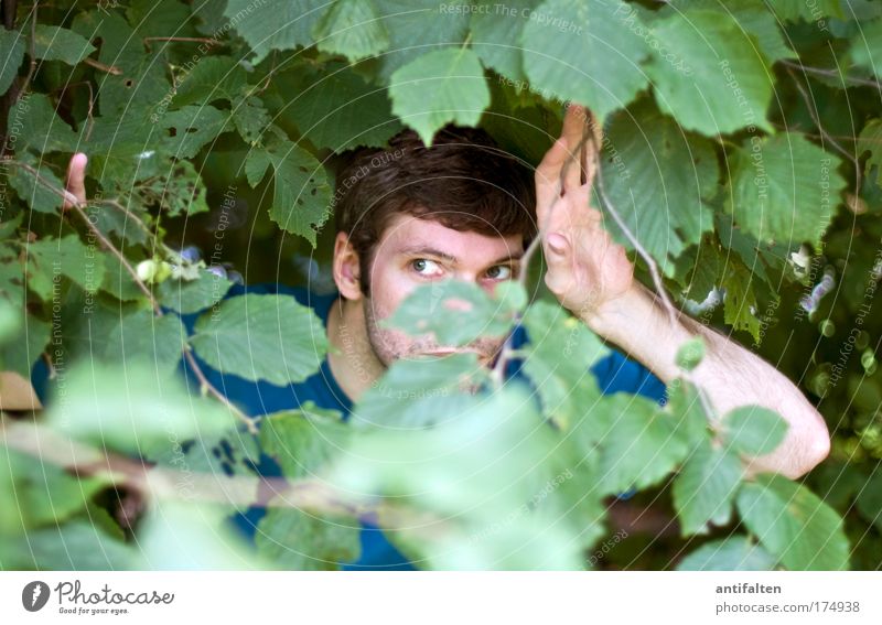 Buschmann Jagd Mensch maskulin Mann Erwachsene Kopf Haare & Frisuren Gesicht Auge Arme Hand Finger 1 30-45 Jahre Natur Baum Sträucher Blatt brünett beobachten