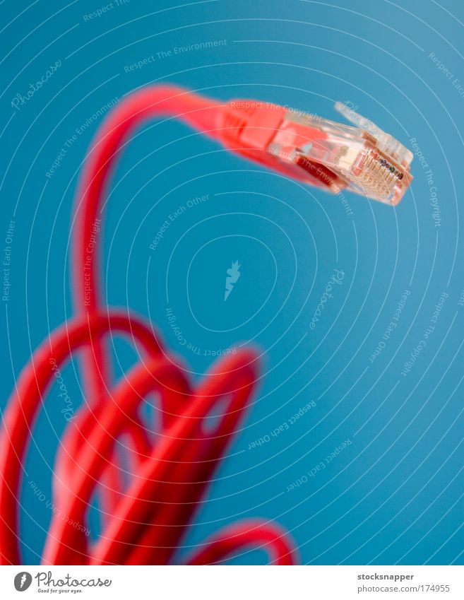 Ethernet-Anschluss Kabel Stecker Zwischenstück cat5 Katze 5 lan rot Nahaufnahme verwickelt Internet