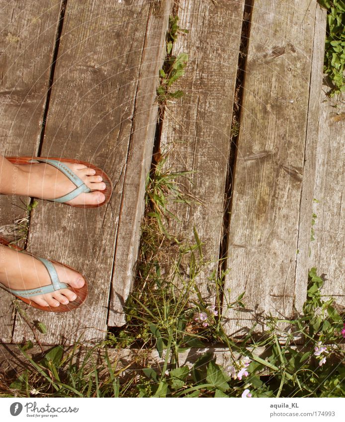 let the sunshine in your ... Farbfoto Außenaufnahme Textfreiraum oben Flipflops stehen Zehen Steg Treppe Holzbrett Shukkei-en Garten Schuhe Unkraut