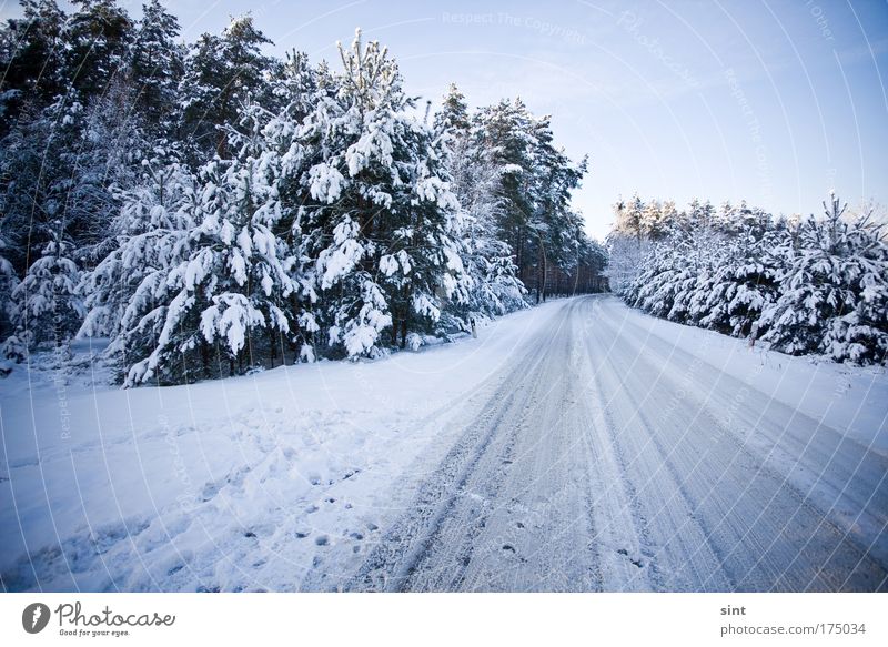 wo bleibt der schneeflug? Farbfoto Außenaufnahme Menschenleer Dämmerung Weitwinkel Winterurlaub Natur Landschaft Wolkenloser Himmel Eis Frost Schnee Wald